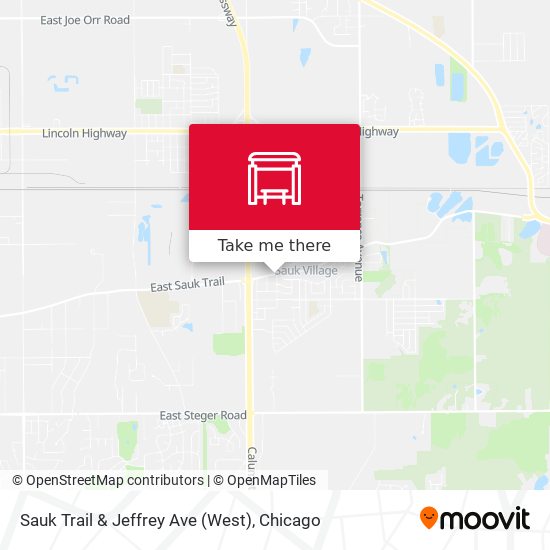 Sauk Trail & Jeffrey Ave (West) map