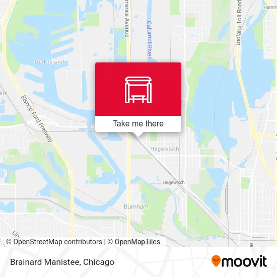 Brainard Manistee map