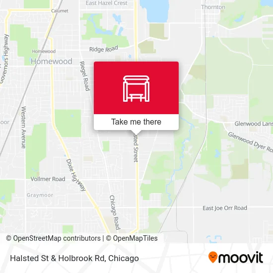 Halsted St & Holbrook Rd map