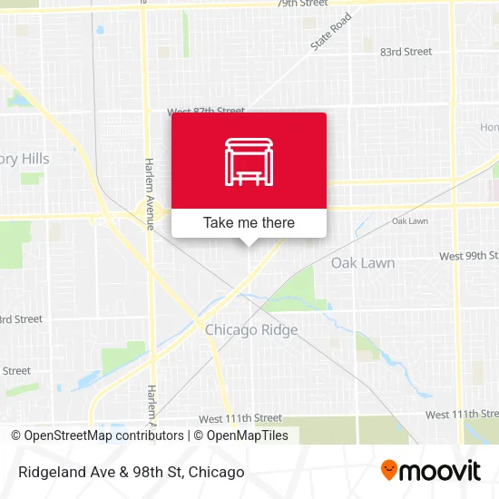 Ridgeland Ave & 98th St map