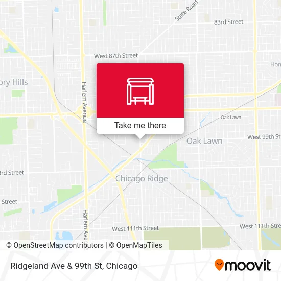 Ridgeland Ave & 99th St map