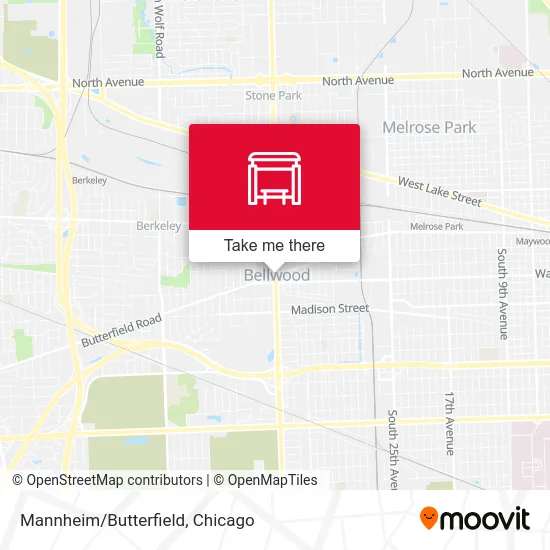 Mannheim/Butterfield map