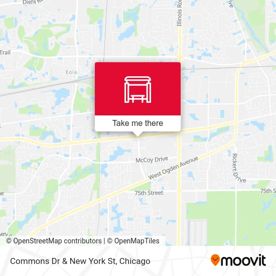 Commons Dr & New York St map