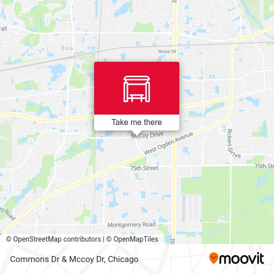 Commons Dr & Mccoy Dr map