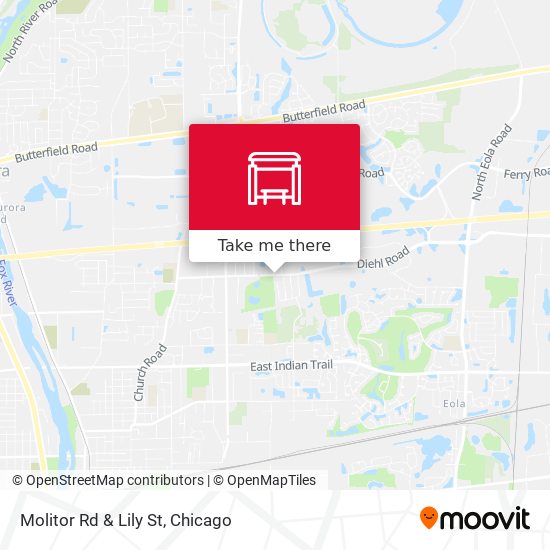 Molitor Rd & Lily St map