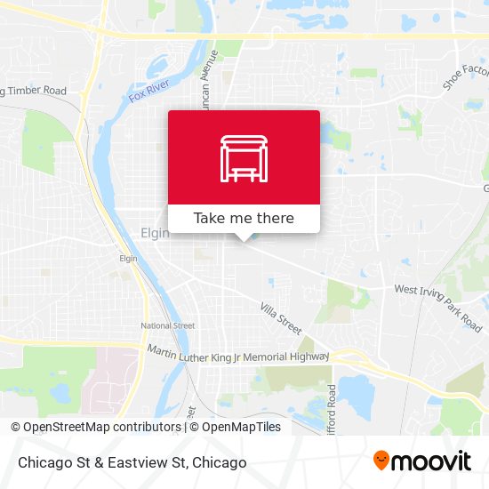 Chicago St & Eastview St map