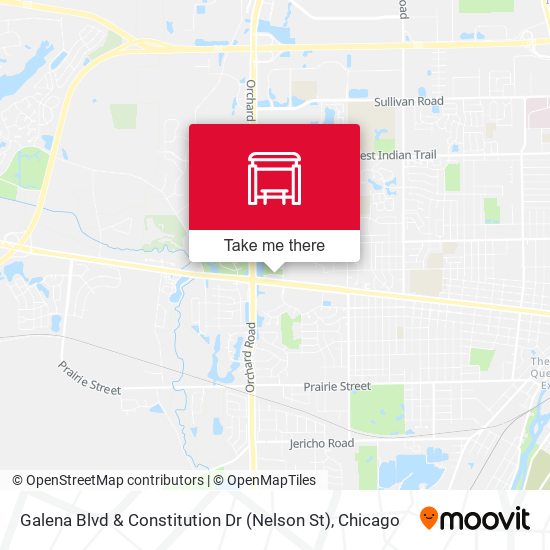 Galena Blvd & Constitution Dr (Nelson St) map