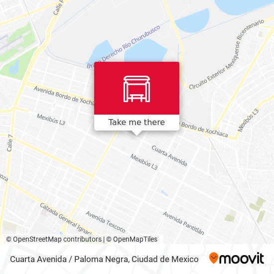 Cuarta Avenida / Paloma Negra map