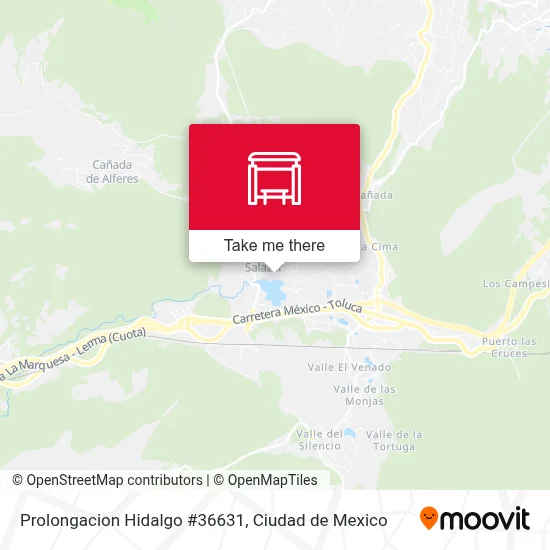 Prolongacion Hidalgo #36631 map