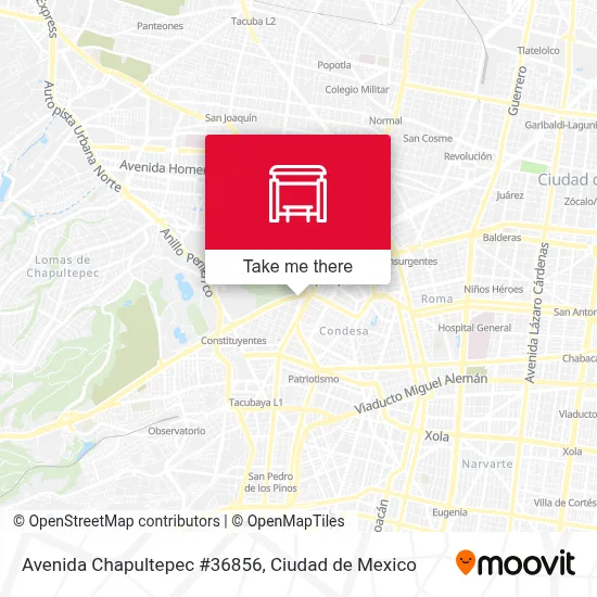 Avenida Chapultepec #36856 map