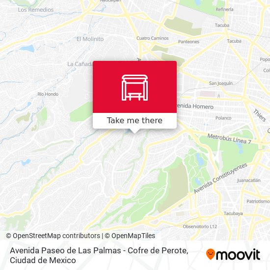 Avenida Paseo de Las Palmas - Cofre de Perote map