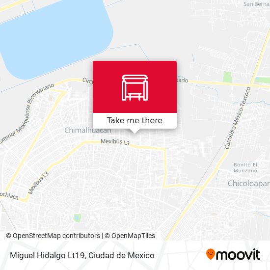 Miguel Hidalgo Lt19 map