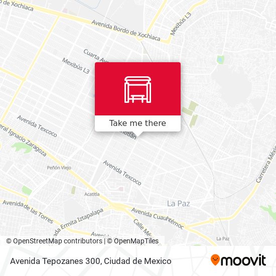 Avenida Tepozanes 300 map
