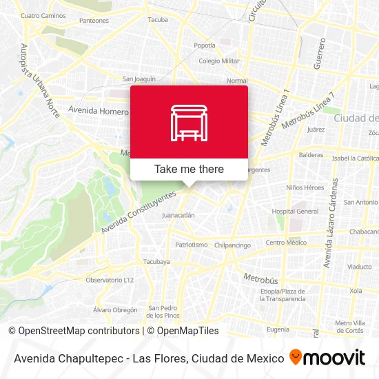 Avenida Chapultepec - Las Flores map