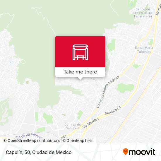 Mapa de Capulín, 50