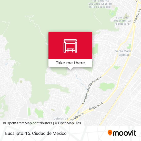 Mapa de Eucalipto, 15