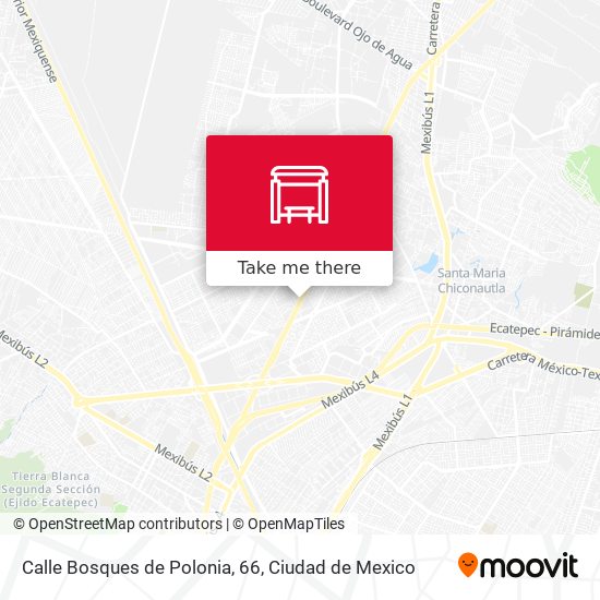 Calle Bosques de Polonia, 66 map