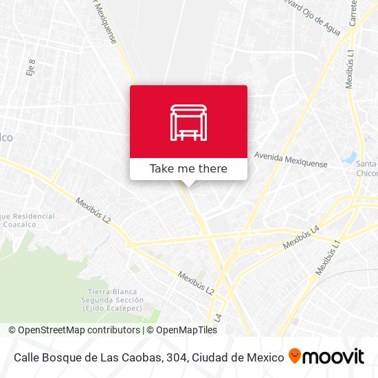 Calle Bosque de Las Caobas, 304 map