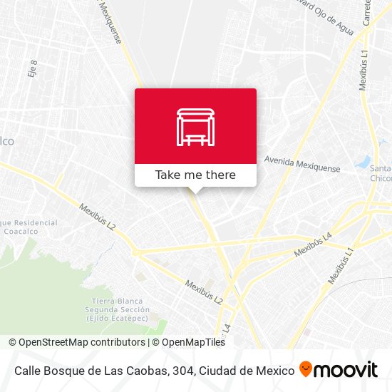 Calle Bosque de Las Caobas, 304 map
