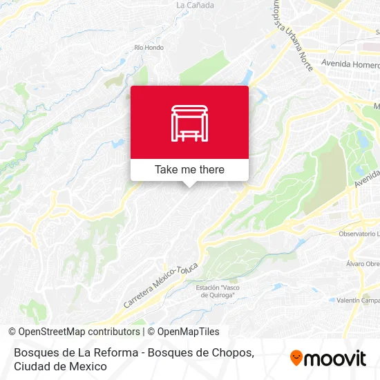 Bosques de La Reforma - Bosques de Chopos map