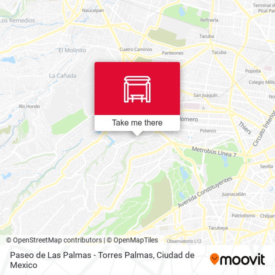 Paseo de Las Palmas - Torres Palmas map