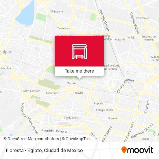 Floresta - Egipto map