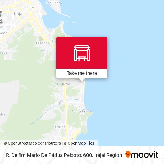 R. Delfim Mário De Pádua Peixoto, 600 map