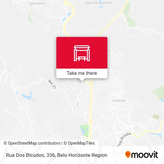 Rua Dos Bicudos, 336 map