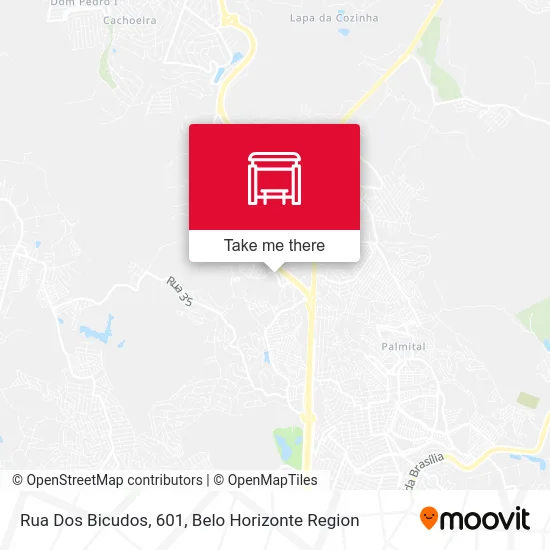 Rua Dos Bicudos, 601 map