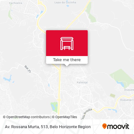 Av. Rossana Murta, 513 map
