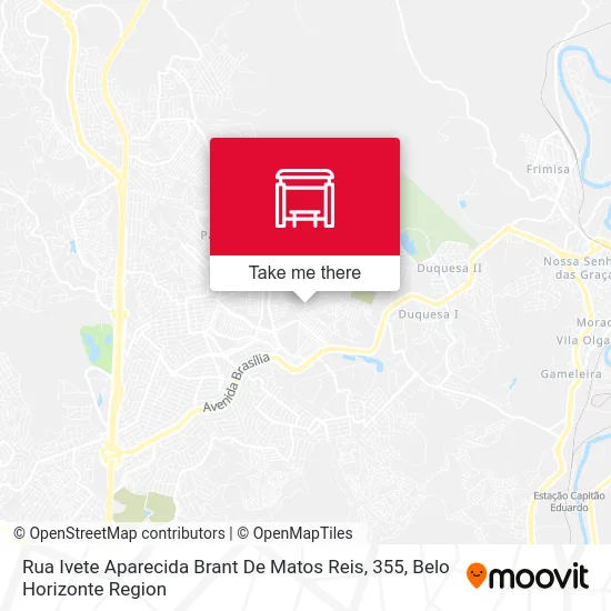 Rua Ivete Aparecida Brant De Matos Reis, 355 map