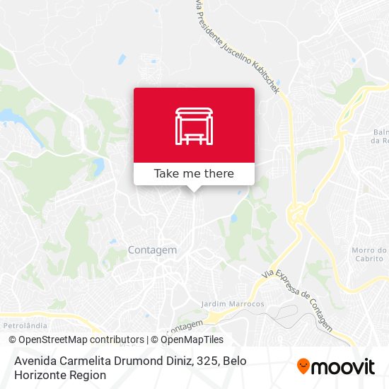 Avenida Carmelita Drumond Diniz, 325 map
