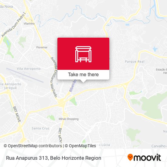 Rua Anapurus 313 map