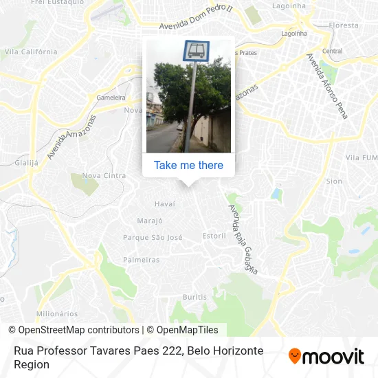 Rua Professor Tavares Paes 222 map
