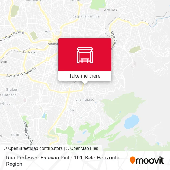 Rua Professor Estevao Pinto 101 map