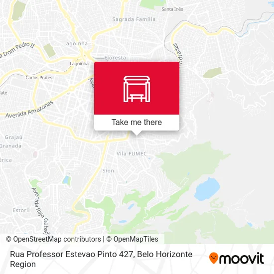 Rua Professor Estevao Pinto 427 map
