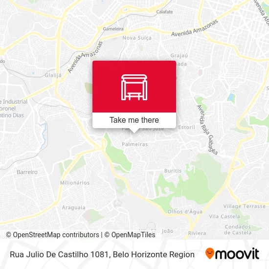 Rua Julio De Castilho 1081 map