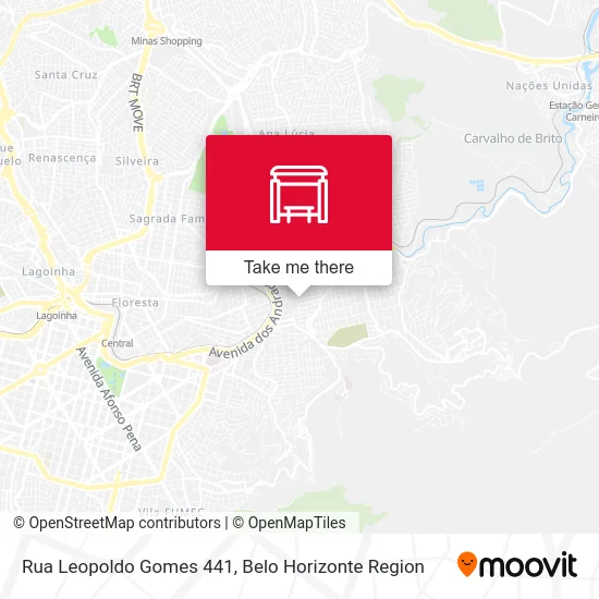 Rua Leopoldo Gomes 441 map