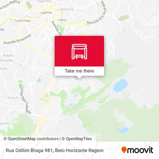 Rua Odilon Braga 981 map