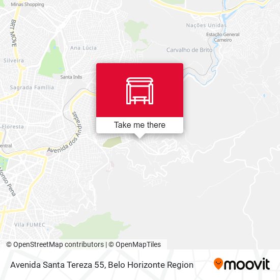 Avenida Santa Tereza 55 map