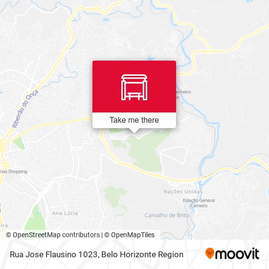 Rua Jose Flausino 1023 map