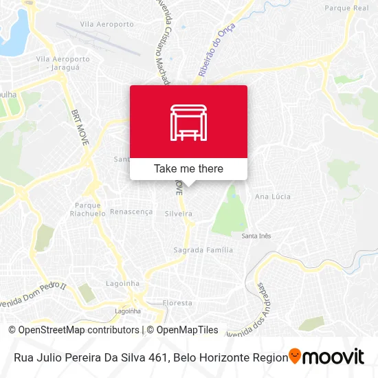 Rua Julio Pereira Da Silva 461 map