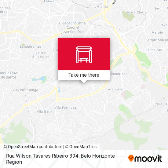 Rua Wilson Tavares Ribeiro 394 map