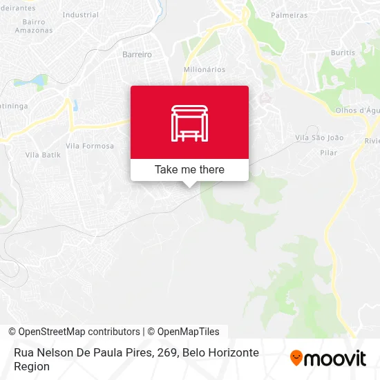 Rua Nelson De Paula Pires, 269 map