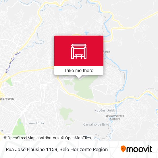 Rua Jose Flausino 1159 map