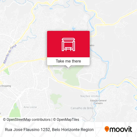 Rua Jose Flausino 1252 map