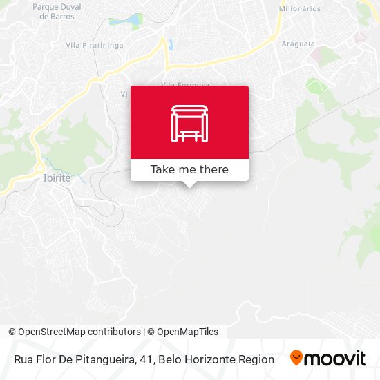 Rua Flor De Pitangueira, 41 map
