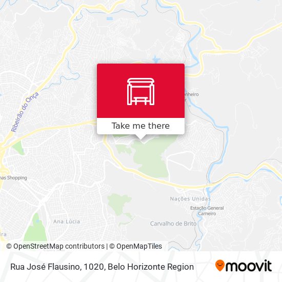 Rua José Flausino, 1020 map