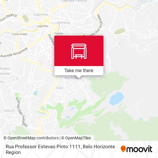 Rua Professor Estevao Pinto 1111 map