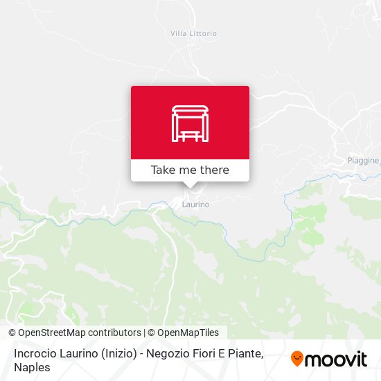 Incrocio Laurino (Inizio) - Negozio Fiori E Piante map